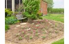 Property photo 55 - REAL ESTATE AUCTION! Grand Historic All Brick Home on 2.45 Acres!